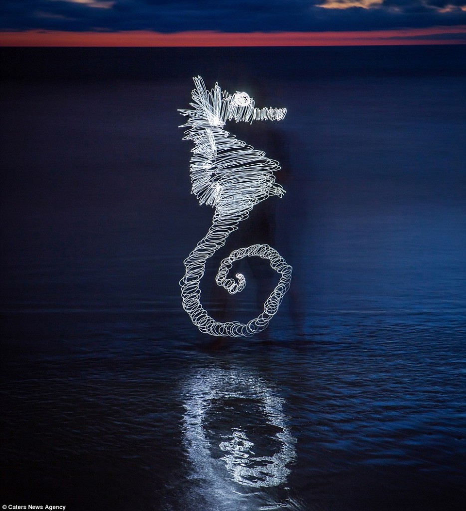 "Sea Horse"