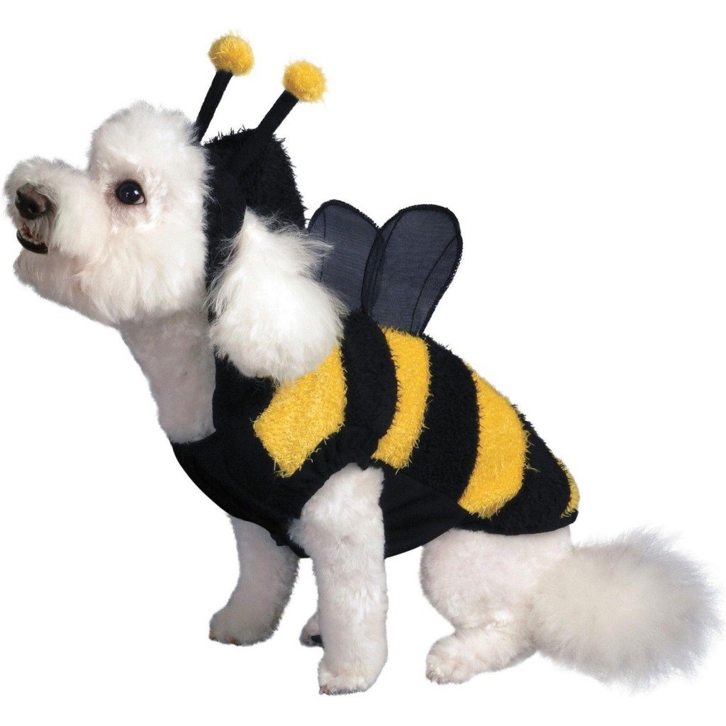 buzzing-bee-dog-costume-cx-68276-1