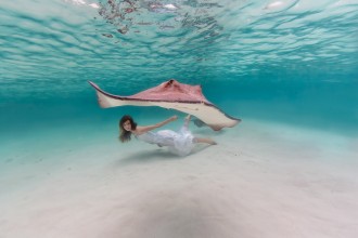 Elena Kalis Stingrays Project